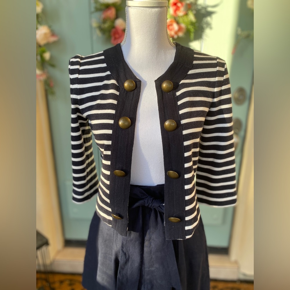 Ann Taylor Blue and White Striped Blazer